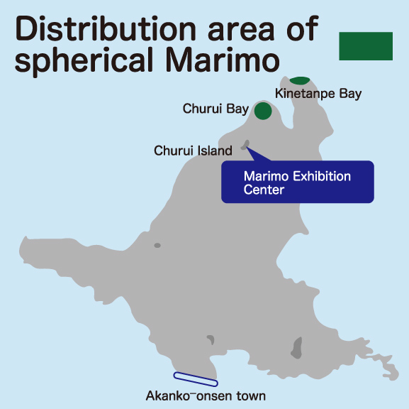 Distribution areas of spherical Marimo