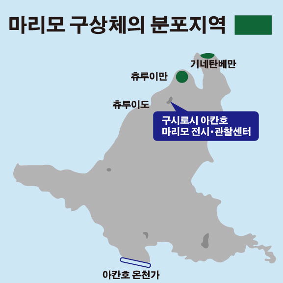 마리모 구상체의 분포지역