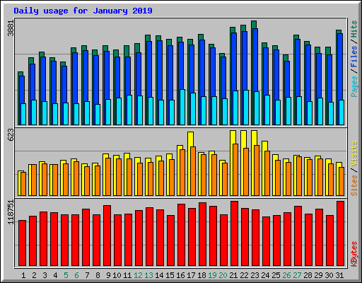Daily usage for January 2019