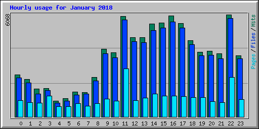 Hourly usage for January 2018