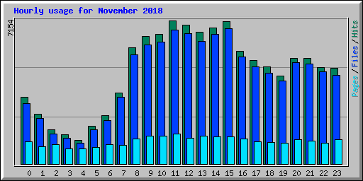 Hourly usage for November 2018