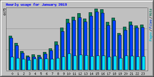 Hourly usage for January 2019