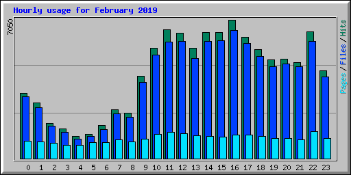 Hourly usage for February 2019