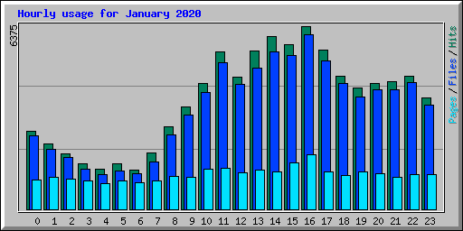 Hourly usage for January 2020