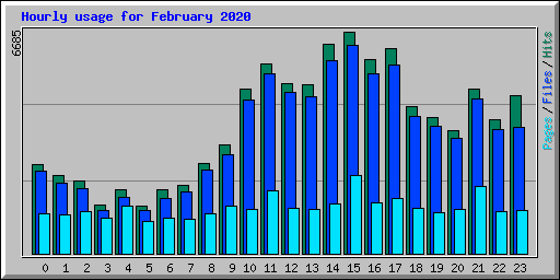 Hourly usage for February 2020