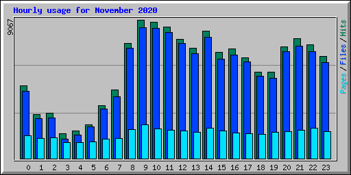 Hourly usage for November 2020