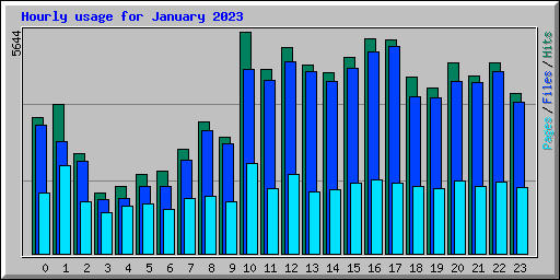 Hourly usage for January 2023