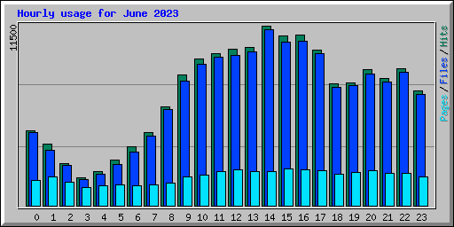 Hourly usage for June 2023